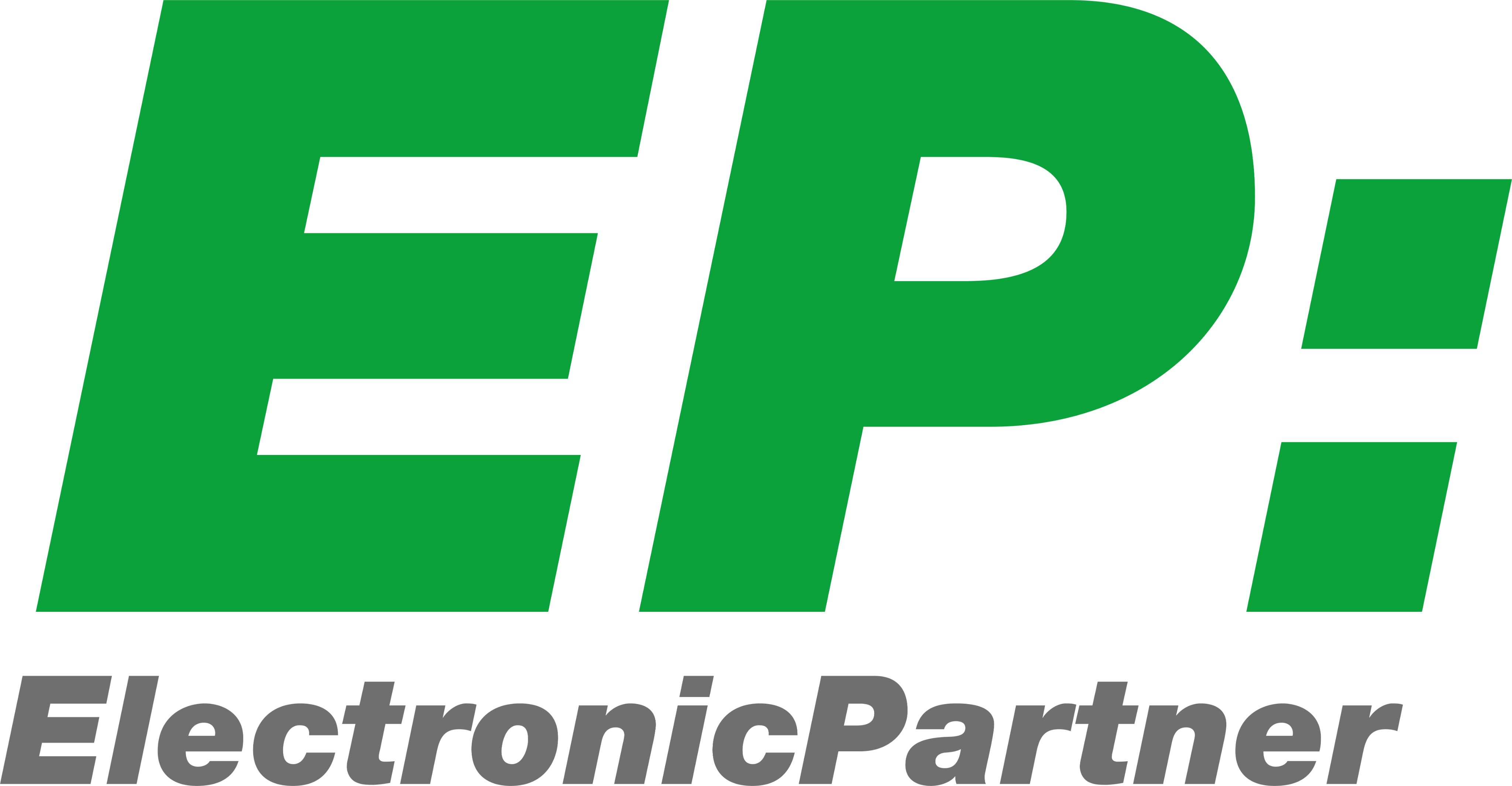 Electronic Partner Logo